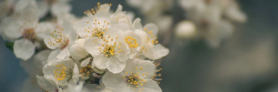 Welcome to hittlrw.top