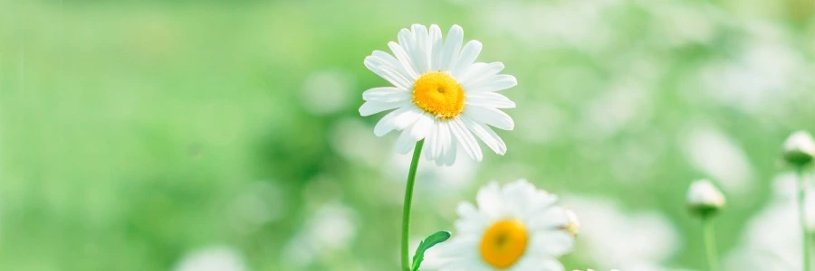 Welcome to hittlrw.top