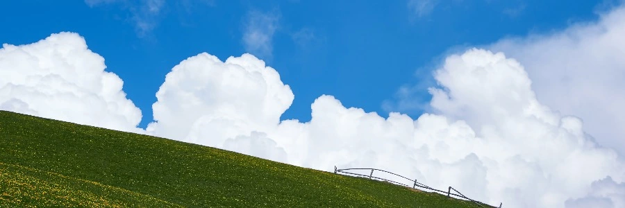 Welcome to hittlrw.top